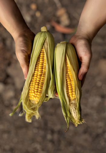 featured-arae-two-img